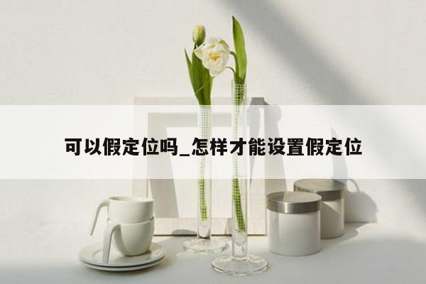 可以假定位吗_怎样才能设置假定位