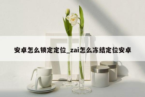 安卓怎么锁定定位_zai怎么冻结定位安卓