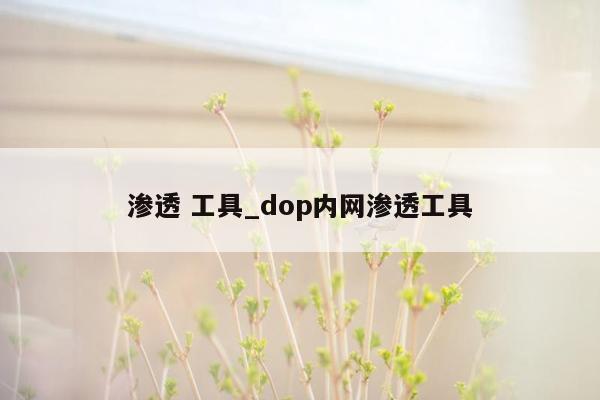 渗透 工具_dop内网渗透工具