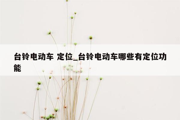 台铃电动车 定位_台铃电动车哪些有定位功能