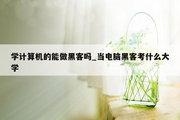 学计算机的能做黑客吗_当电脑黑客考什么大学