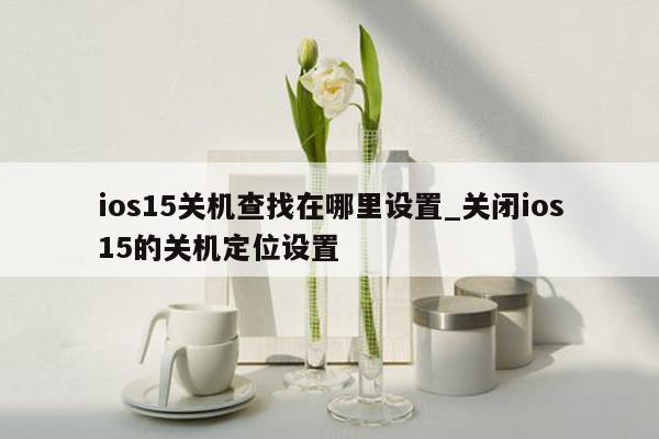 ios15关机查找在哪里设置_关闭ios15的关机定位设置