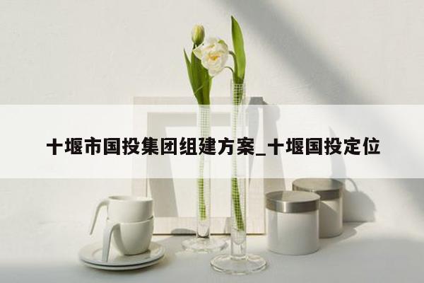 十堰市国投集团组建方案_十堰国投定位