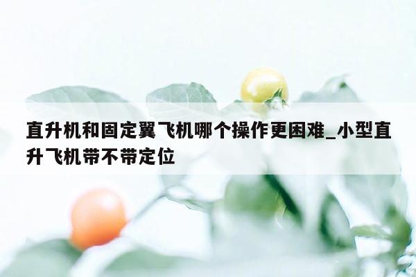 直升机和固定翼飞机哪个操作更困难_小型直升飞机带不带定位