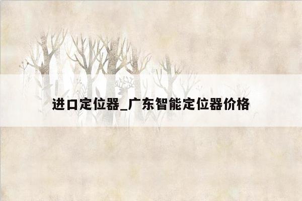 进口定位器_广东智能定位器价格