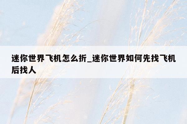 迷你世界飞机怎么折_迷你世界如何先找飞机后找人