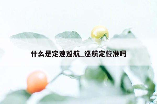 什么是定速巡航_巡航定位准吗