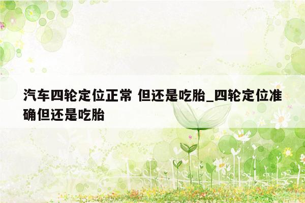 汽车四轮定位正常 但还是吃胎_四轮定位准确但还是吃胎