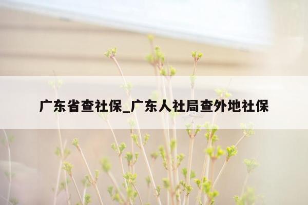 广东省查社保_广东人社局查外地社保