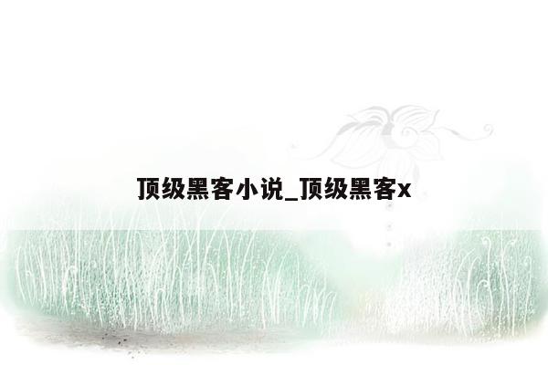 顶级黑客小说_顶级黑客x