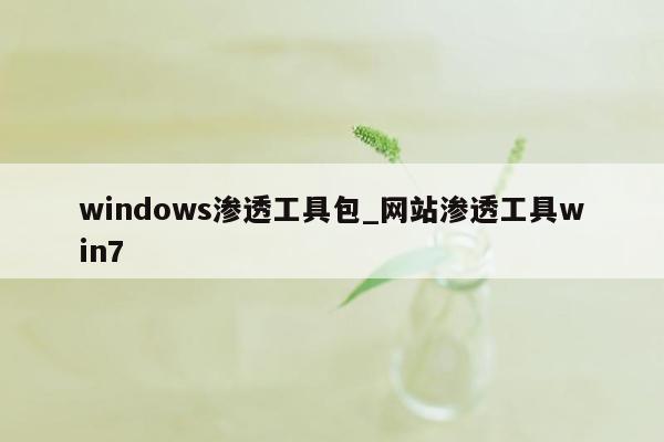 windows渗透工具包_网站渗透工具win7
