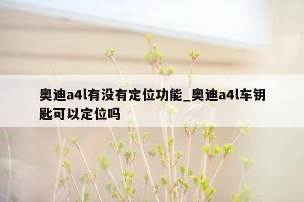 奥迪a4l有没有定位功能_奥迪a4l车钥匙可以定位吗