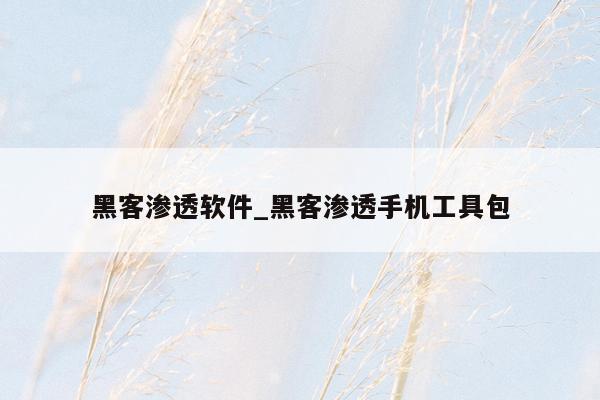 黑客渗透软件_黑客渗透手机工具包