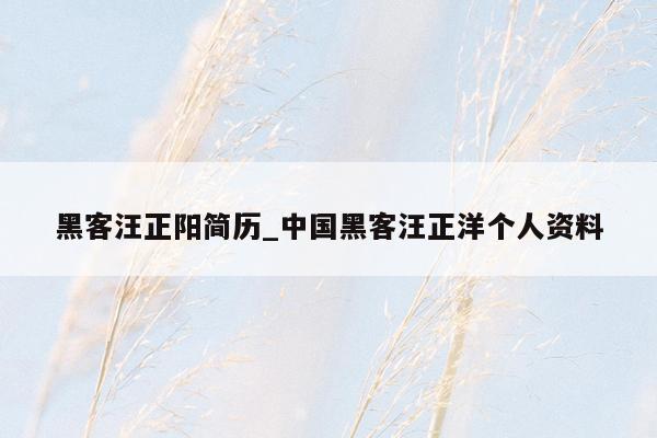 黑客汪正阳简历_中国黑客汪正洋个人资料