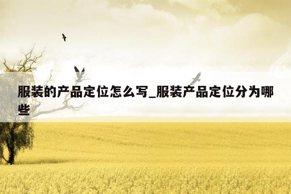 服装的产品定位怎么写_服装产品定位分为哪些