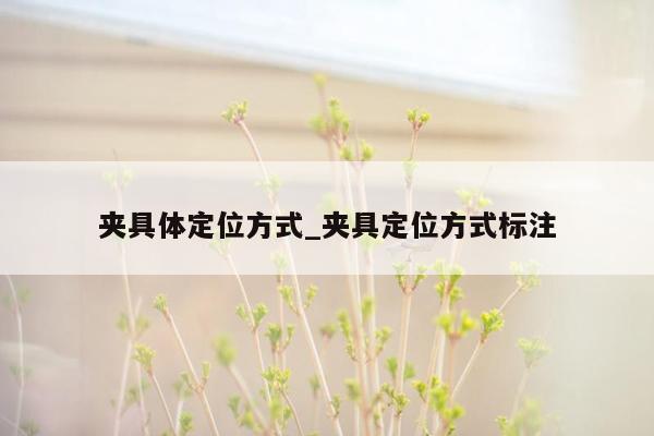 夹具体定位方式_夹具定位方式标注