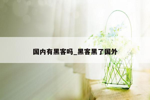 国内有黑客吗_黑客黑了国外