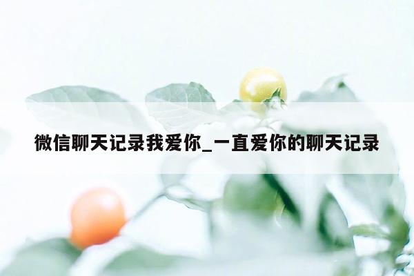 微信聊天记录我爱你_一直爱你的聊天记录