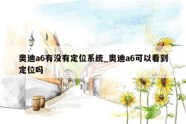 奥迪a6有没有定位系统_奥迪a6可以看到定位吗
