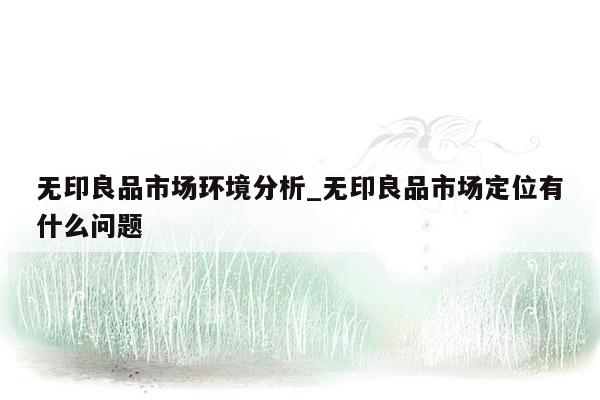 无印良品市场环境分析_无印良品市场定位有什么问题