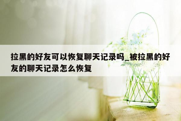 拉黑的好友可以恢复聊天记录吗_被拉黑的好友的聊天记录怎么恢复