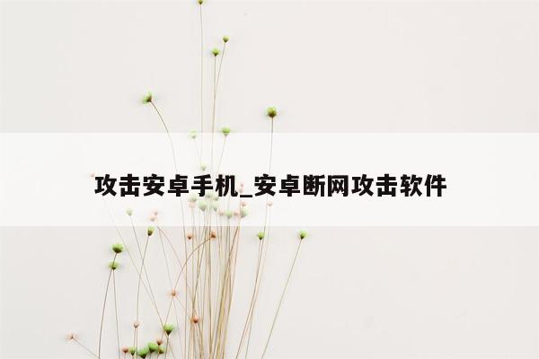攻击安卓手机_安卓断网攻击软件