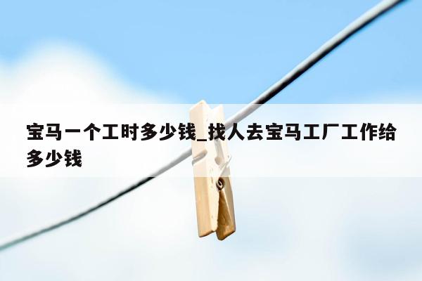 宝马一个工时多少钱_找人去宝马工厂工作给多少钱