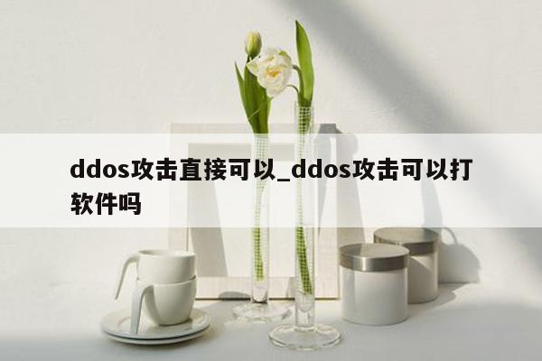 ddos攻击直接可以_ddos攻击可以打软件吗
