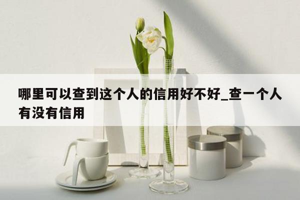 哪里可以查到这个人的信用好不好_查一个人有没有信用