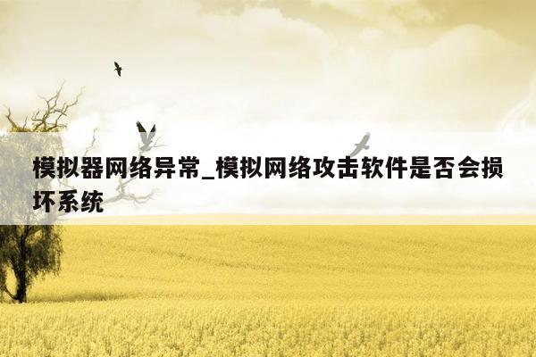 模拟器网络异常_模拟网络攻击软件是否会损坏系统