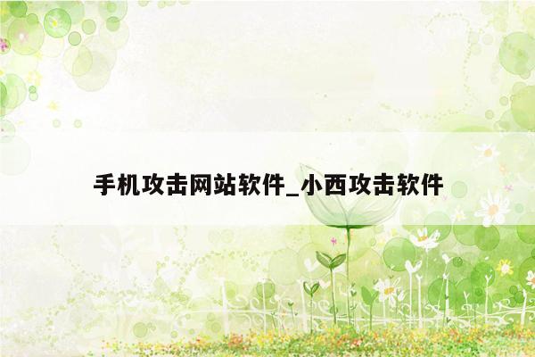 手机攻击网站软件_小西攻击软件