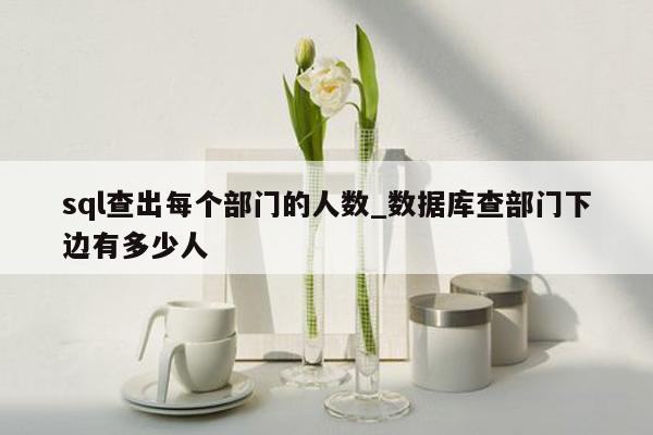 sql查出每个部门的人数_数据库查部门下边有多少人
