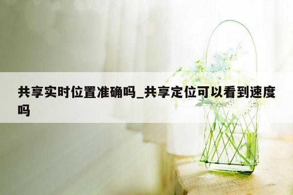 共享实时位置准确吗_共享定位可以看到速度吗