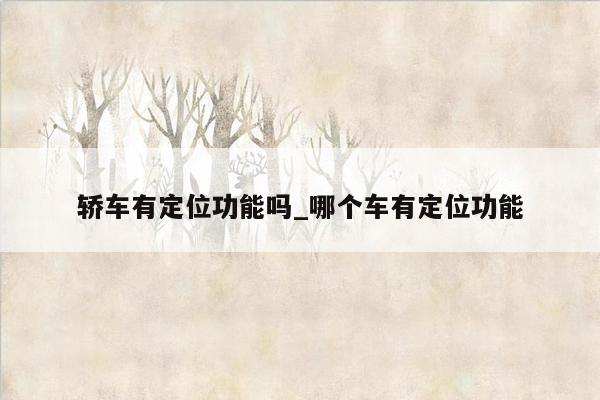 轿车有定位功能吗_哪个车有定位功能