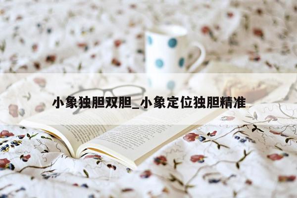 小象独胆双胆_小象定位独胆精准