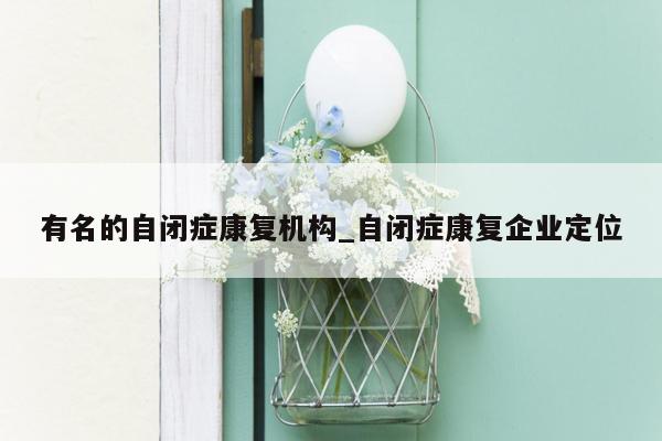 有名的自闭症康复机构_自闭症康复企业定位