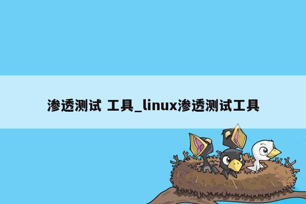 渗透测试 工具_linux渗透测试工具