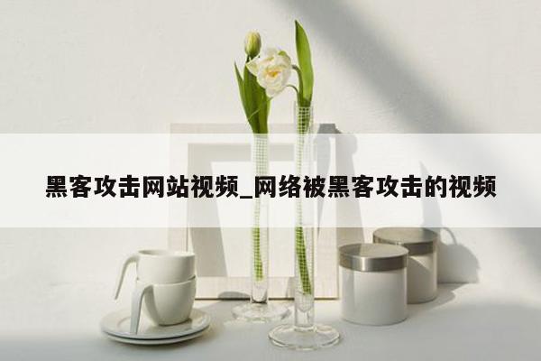 黑客攻击网站视频_网络被黑客攻击的视频