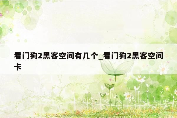 看门狗2黑客空间有几个_看门狗2黑客空间卡