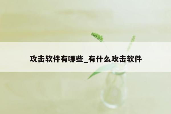 攻击软件有哪些_有什么攻击软件