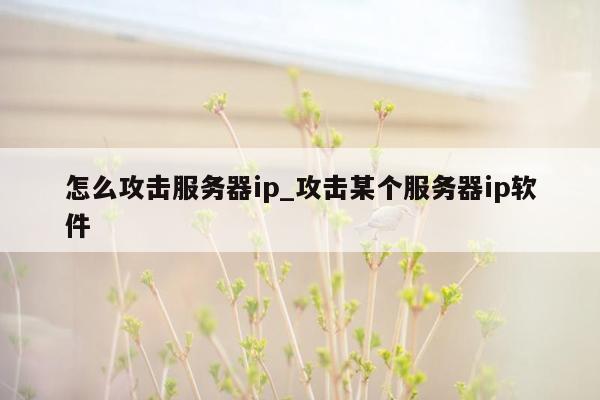 怎么攻击服务器ip_攻击某个服务器ip软件