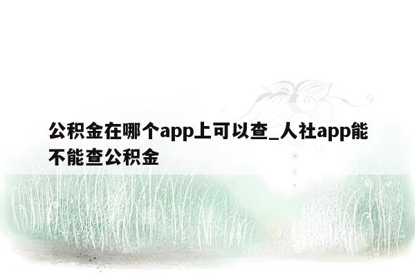 公积金在哪个app上可以查_人社app能不能查公积金