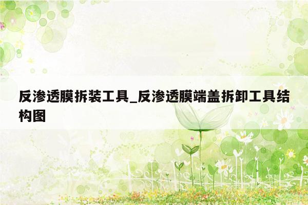 反渗透膜拆装工具_反渗透膜端盖拆卸工具结构图