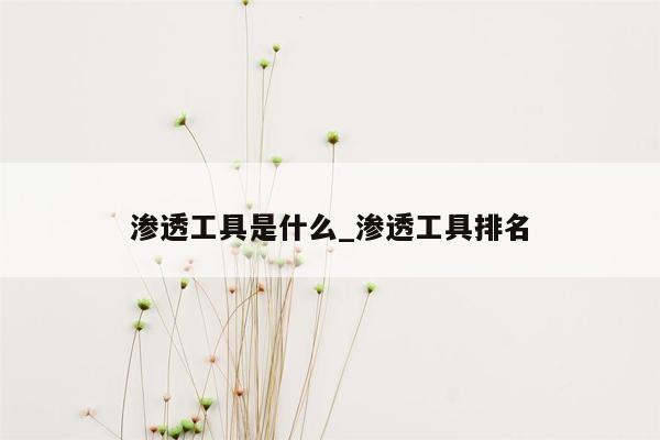 渗透工具是什么_渗透工具排名