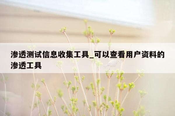 渗透测试信息收集工具_可以查看用户资料的渗透工具