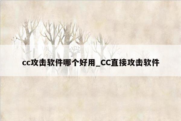 cc攻击软件哪个好用_CC直接攻击软件