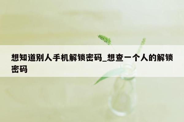 想知道别人手机解锁密码_想查一个人的解锁密码