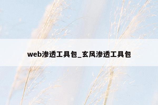 web渗透工具包_玄风渗透工具包