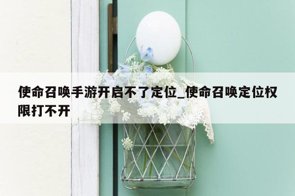 使命召唤手游开启不了定位_使命召唤定位权限打不开