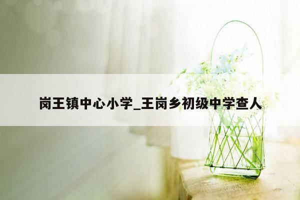 岗王镇中心小学_王岗乡初级中学查人